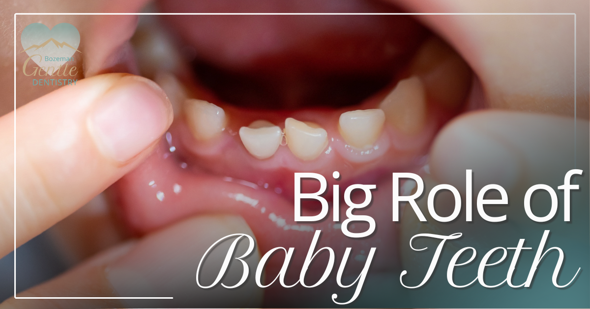 Murphy Blog April 2026